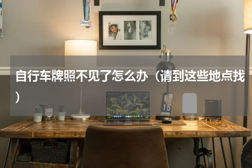自行车牌照不见了怎么办（请到这些地点找）