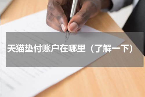 天猫垫付账户在哪里（了解一下）