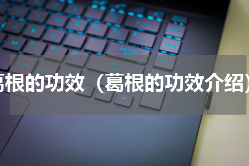 葛根的功效（葛根的功效介绍）