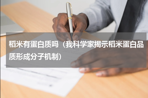 稻米有蛋白质吗（我科学家揭示稻米蛋白品质形成分子机制）