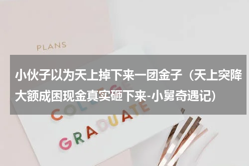 小伙子以为天上掉下来一团金子（天上突降大额成困现金真实砸下来-小舅奇遇记）