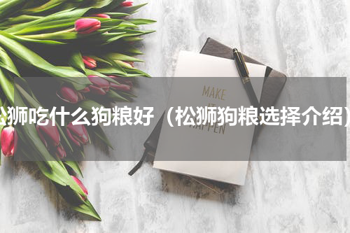 松狮吃什么狗粮好（松狮狗粮选择介绍）