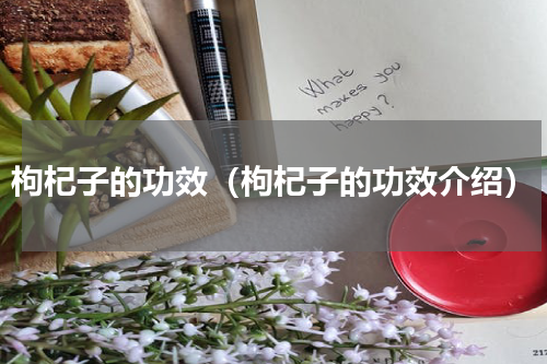 枸杞子的功效（枸杞子的功效介绍）