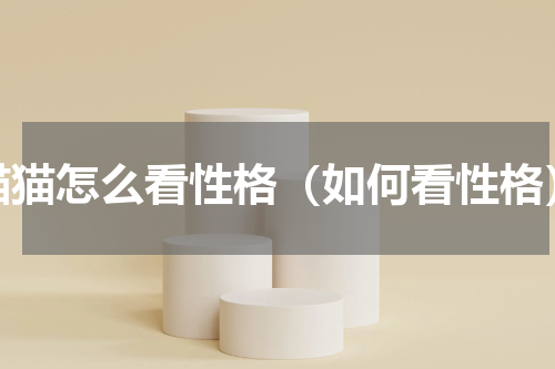 猫猫怎么看性格（如何看性格）