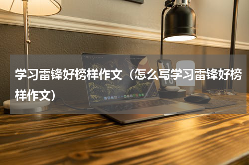 学习雷锋好榜样作文（怎么写学习雷锋好榜样作文）