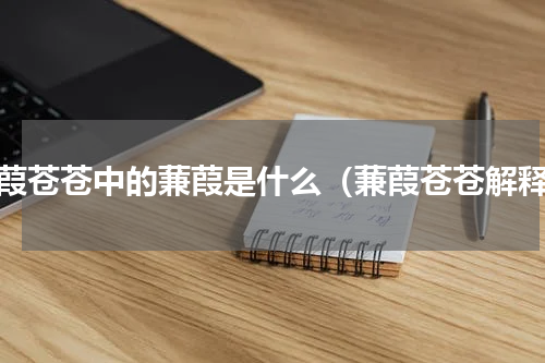蒹葭苍苍中的蒹葭是什么（蒹葭苍苍解释）