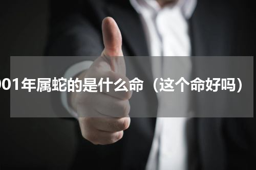 2001年属蛇的是什么命（这个命好吗）