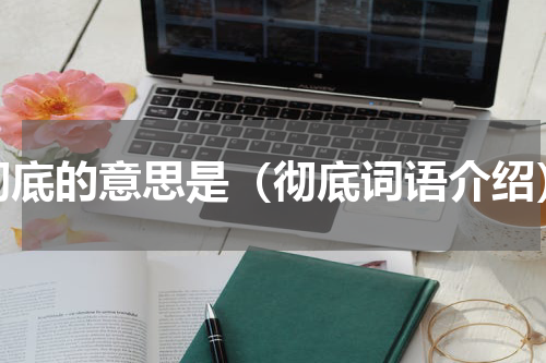 彻底的意思是（彻底词语介绍）