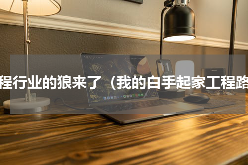 工程行业的狼来了（我的白手起家工程路）
