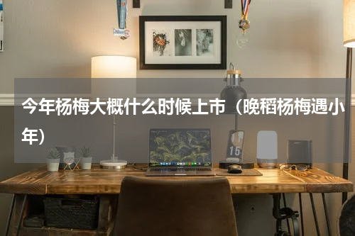 今年杨梅大概什么时候上市（晚稻杨梅遇小年）