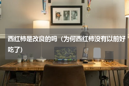 西红柿是改良的吗（为何西红柿没有以前好吃了）