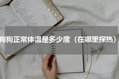 狗狗正常体温是多少度（在哪里探热）