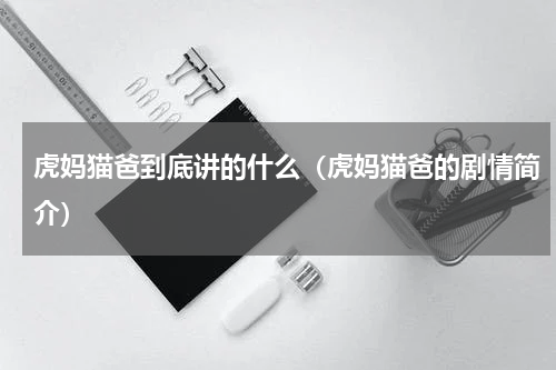 虎妈猫爸到底讲的什么（虎妈猫爸的剧情简介）