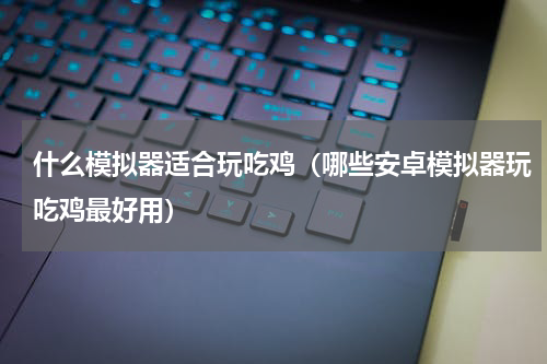 什么模拟器适合玩吃鸡（哪些安卓模拟器玩吃鸡最好用）