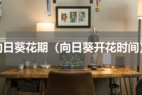 向日葵花期（向日葵开花时间）