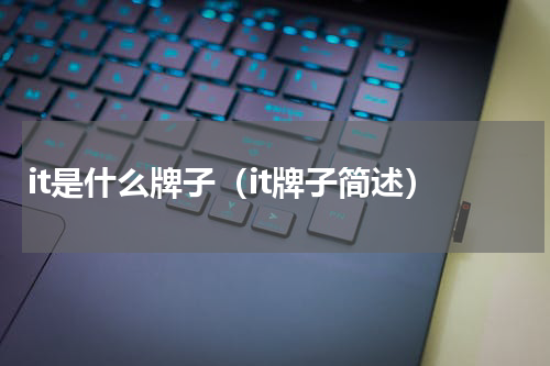 it是什么牌子（it牌子简述）
