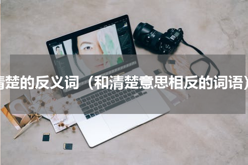 清楚的反义词（和清楚意思相反的词语）