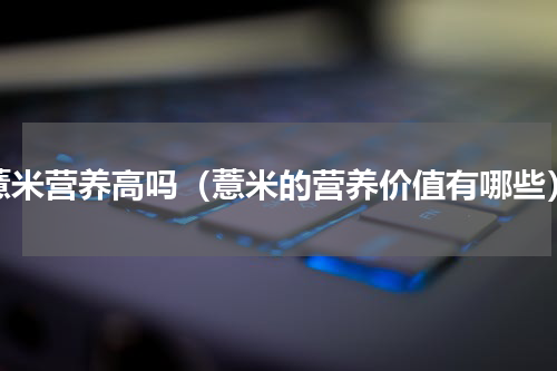 薏米营养高吗（薏米的营养价值有哪些）