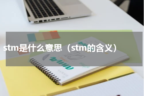 stm是什么意思（stm的含义）