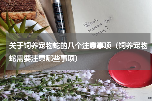 关于饲养宠物蛇的八个注意事项（饲养宠物蛇需要注意哪些事项）