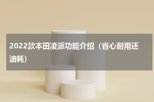 2022款本田凌派功能介绍（省心耐用还油耗）