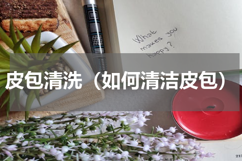 皮包清洗（如何清洁皮包）
