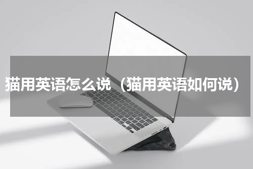 猫用英语怎么说（猫用英语如何说）