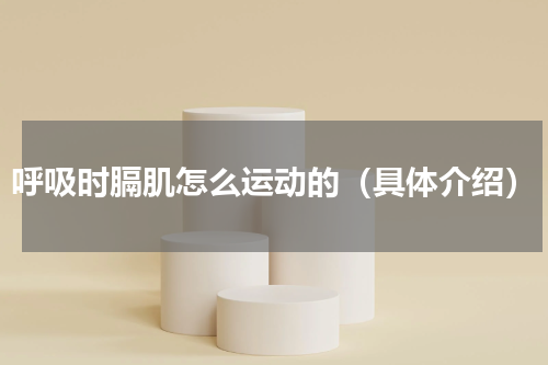 呼吸时膈肌怎么运动的（具体介绍）