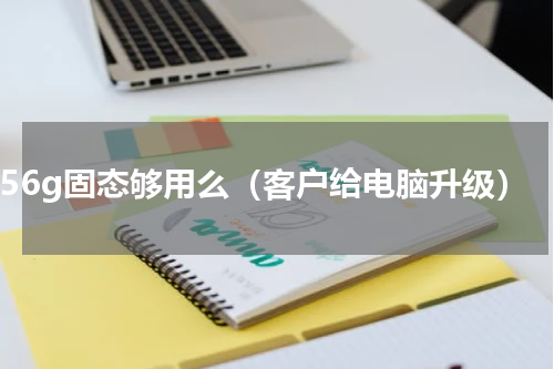 256g固态够用么（客户给电脑升级）