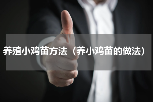 养殖小鸡苗方法（养小鸡苗的做法）