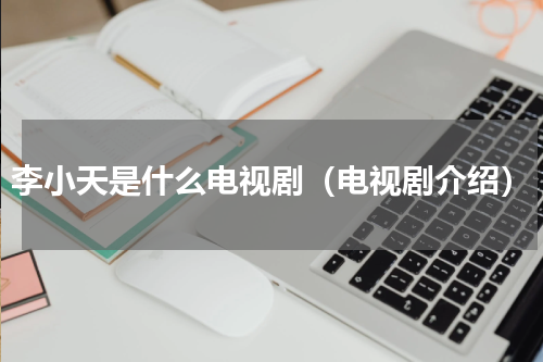李小天是什么电视剧（电视剧介绍）