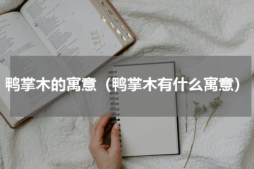 鸭掌木的寓意（鸭掌木有什么寓意）