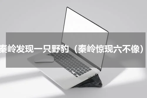 秦岭发现一只野豹（秦岭惊现六不像）