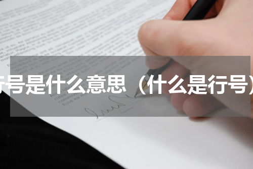 行号是什么意思（什么是行号）