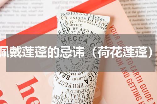 佩戴莲蓬的忌讳（荷花莲蓬）