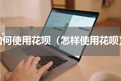 如何使用花呗（怎样使用花呗）