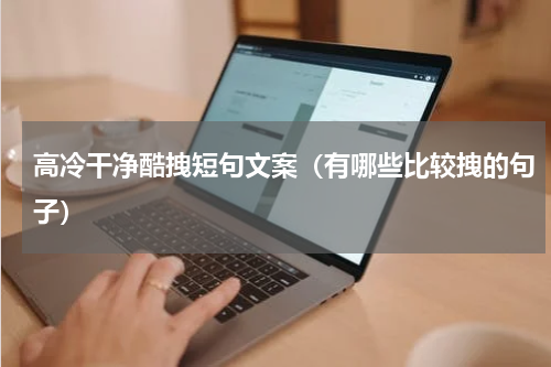 高冷干净酷拽短句文案（有哪些比较拽的句子）