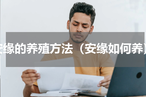 安缘的养殖方法（安缘如何养）