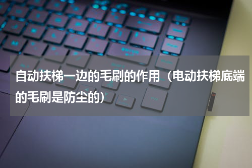 自动扶梯一边的毛刷的作用（电动扶梯底端的毛刷是防尘的）