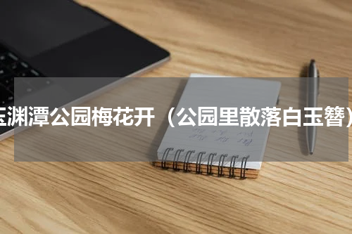 玉渊潭公园梅花开（公园里散落白玉簪）