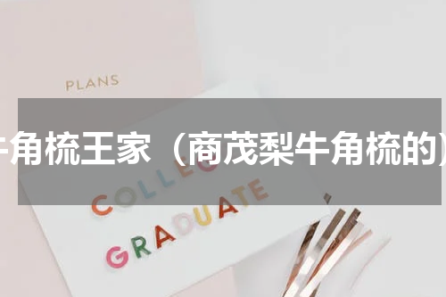 牛角梳王家（商茂梨牛角梳的）