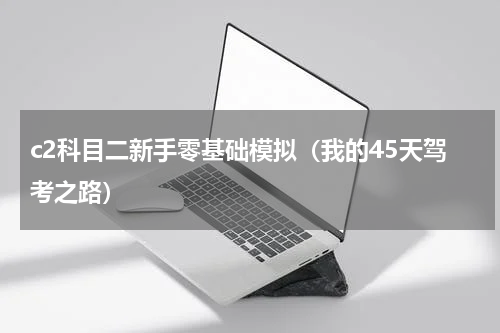 c2科目二新手零基础模拟（我的45天驾考之路）