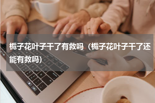 栀子花叶子干了有救吗（栀子花叶子干了还能有救吗）