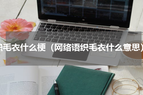 织毛衣什么梗（网络语织毛衣什么意思）