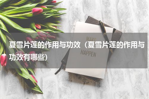 夏雪片莲的作用与功效（夏雪片莲的作用与功效有哪些）