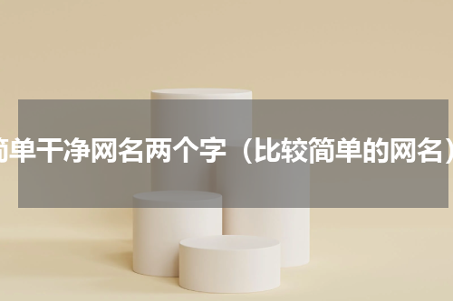 简单干净网名两个字（比较简单的网名）