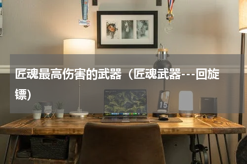 匠魂最高伤害的武器（匠魂武器---回旋镖）