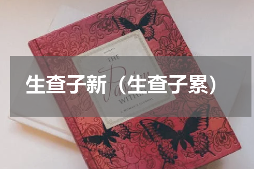 生查子新（生查子累）