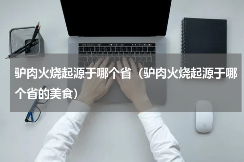 驴肉火烧起源于哪个省（驴肉火烧起源于哪个省的美食）