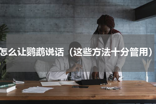 怎么让鹦鹉说话（这些方法十分管用）